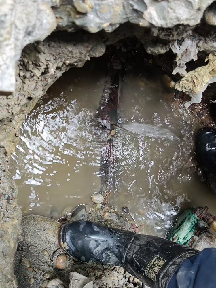 于洪区本地服务：小区水管漏水检测维修